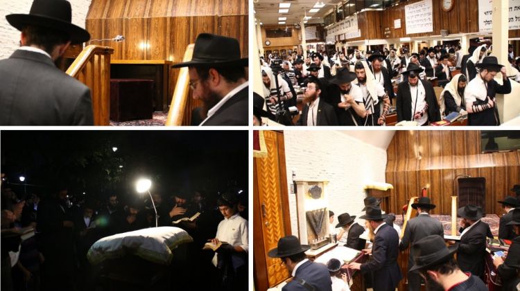 תשעה באב בהיכלו של משיח • גלריה